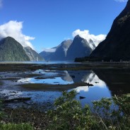 Sounds of New Zealand