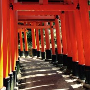 Kyoto – Temples and Geishas