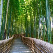 Arashiyama: Bamboo Groves & Zen Dreams